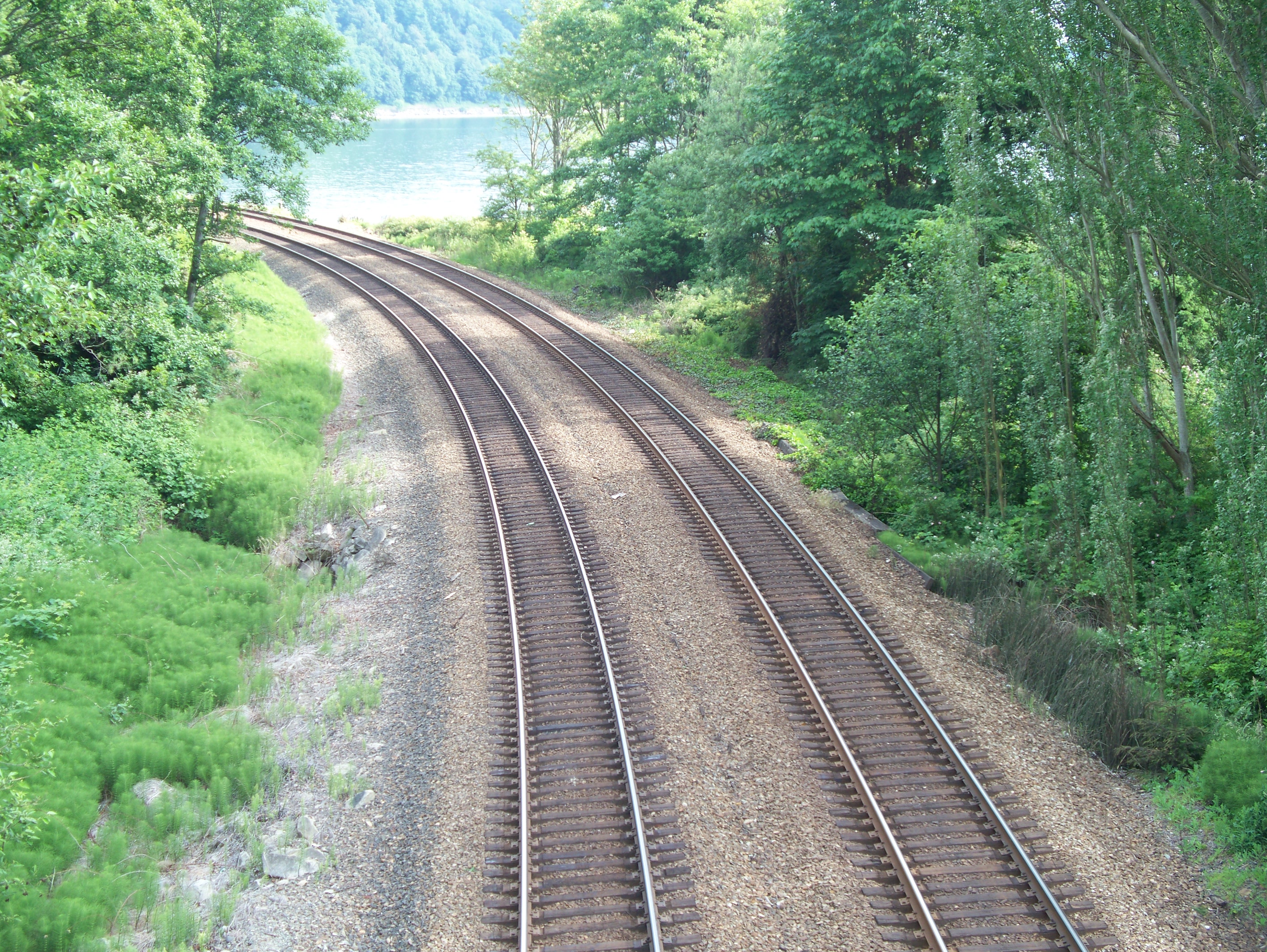 https://en.wikipedia.org/wiki/File:Twin_track_of_train_rails_in_a_wooded_area.JPG#mediaviewer/File:Twin_track_of_train_rails_in_a_wooded_area.JPG