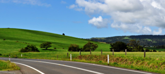 Landscape near Robertson, NSW. Image: Gypsy Rose