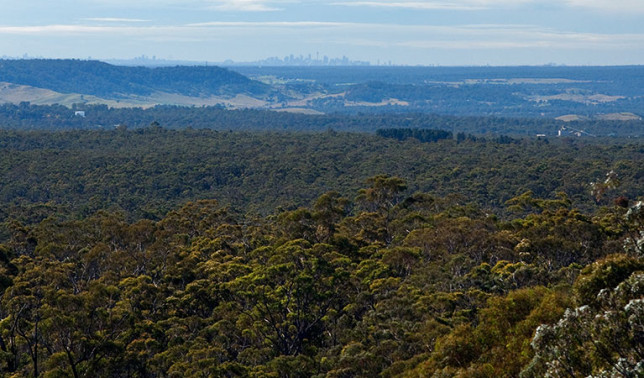 Getting close to Sydney now; CBD visible over the escarpment. Image: NPWS