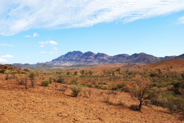 Pastoral land in the Flinders Ranges near Port Augusta. Image: Peripitus